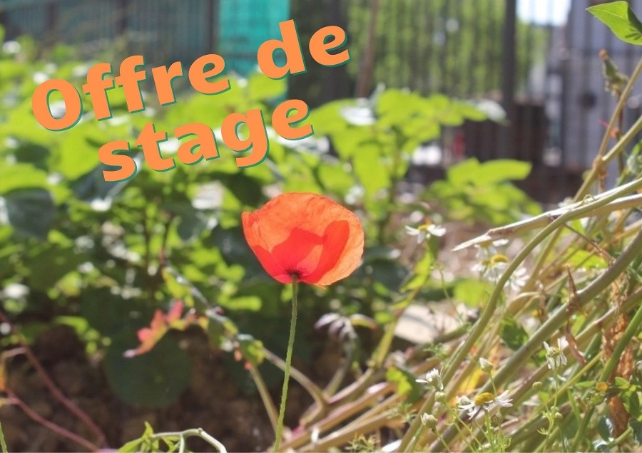 Mce offre de stage jardinage au naturel Mce offre de stage jardinage au naturel