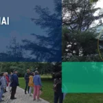 En mai 2026 à la MCE : le programme des activités des associations