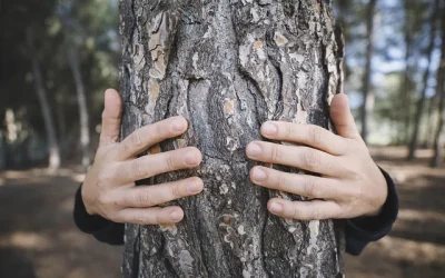 Manque de nature : une nouvelle expo à la Mce (juillet-août 2025)