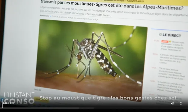 Instant conso – Stop au moustique-tigre avec la Mce (2025)
