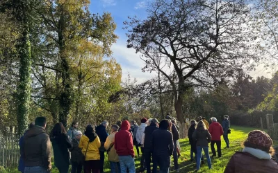Retour sur la Semaine de l’arbre 2025