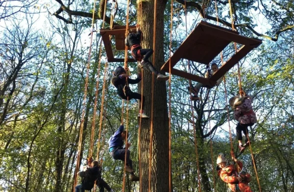 semaine arbre 2025 grimpe e1766067874436