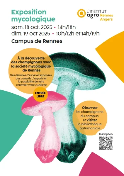 smr expostion mycologique