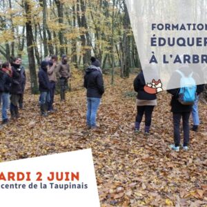 visuel formation eduquer arbre