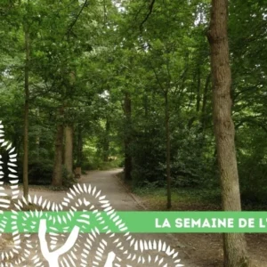 06 semaine arbre hautes ourmes
