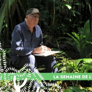 10 semaine arbre francis halle