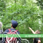18 semaine arbre rando naturaliste
