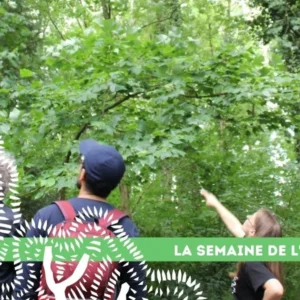 18 semaine arbre rando naturaliste
