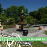 19 semaine arbre jardin marocain