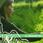 20 semaine arbre plantes sauvages comestible