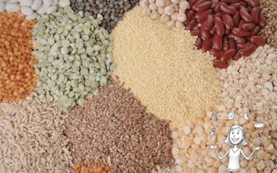 Légumes secs : une formation pour apprivoiser les légumineuses