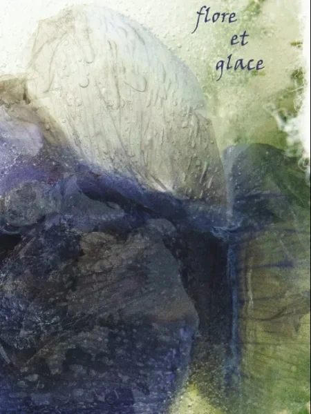 Flore et glace Brigitte Viterbe 2