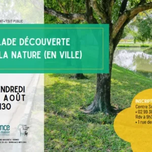 balade nature Longs prés